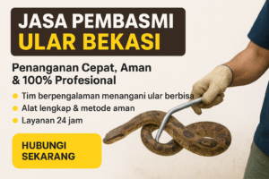 jasa pembasmi ular