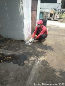 jasa pembasmi hama lalat