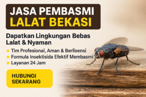 jasa pembasmi lalat bekasi